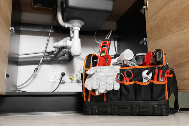 Best Toilet Repair Services  in Marlinton, WV