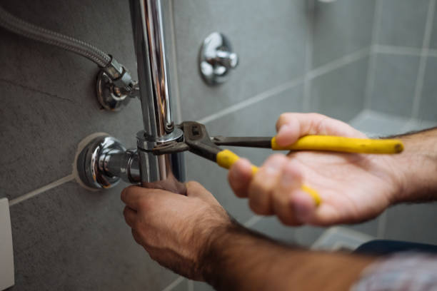 Best Local Plumber Services  in Marlinton, WV
